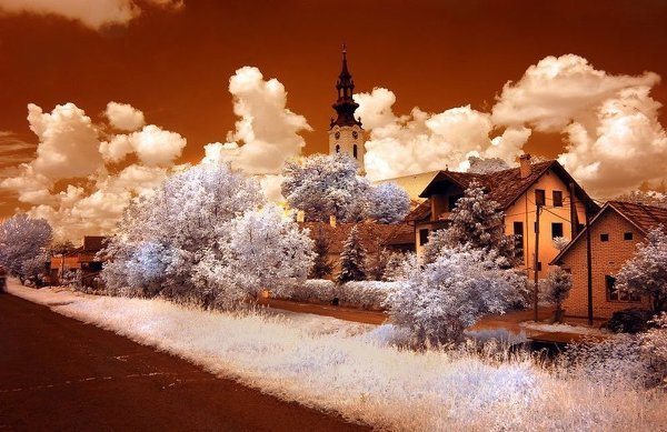 Инфракрасная фотография