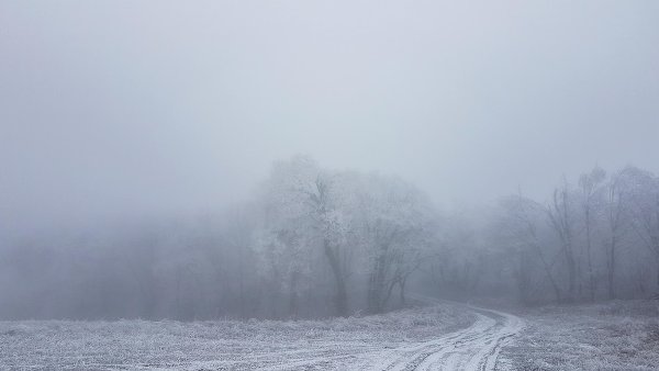 Туманное утро на Козьих скалах