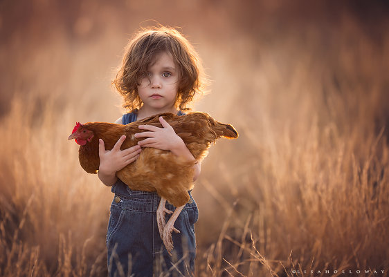 Детские образы в фотографиях Лизы Холлоуэй