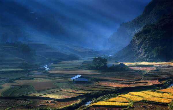 Великолепные рисовые террасы Вьетнама