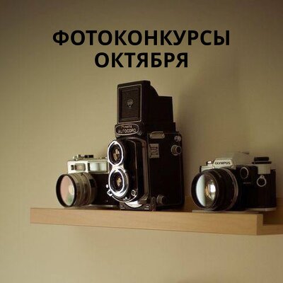 Фотоконкурсы октября