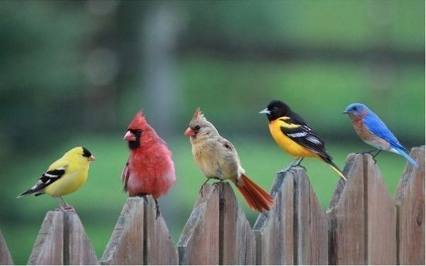 ..Angry Birds. :)