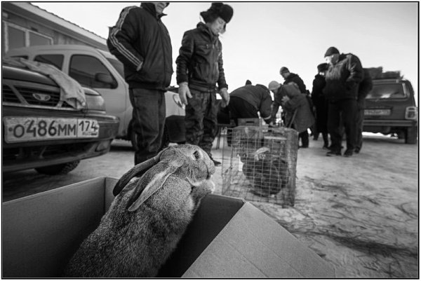 Татьяна Выборнова - Барахолка (http://fotokto.ru/id93384)