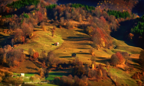 утренний пейзаж фото