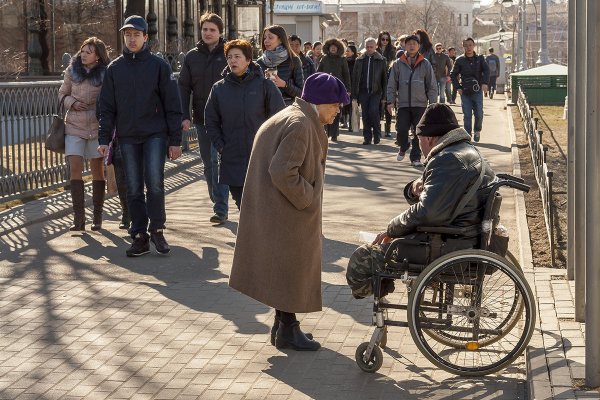 Александр Войцеховский