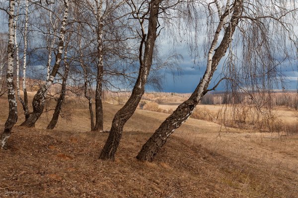 Фототур по Подмосковью на майские праздники - один день - №8