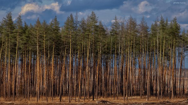 Фототур по Подмосковью на майские праздники - один день - №20