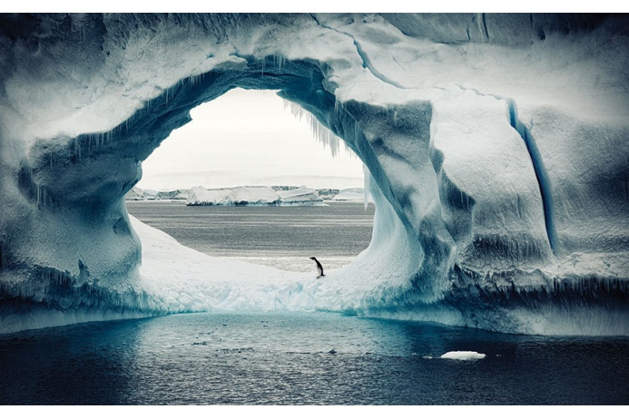 Фото Антарктиды 7 – Фотограф Алекс Бернаскони