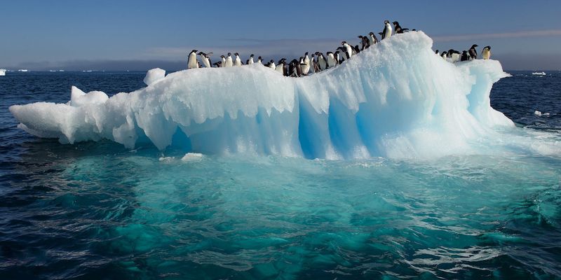 Фото Антарктиды 23
