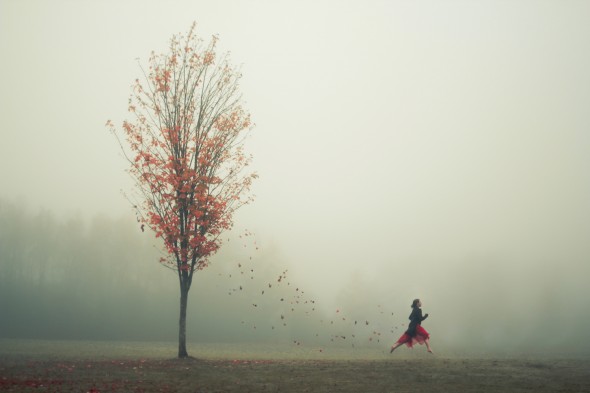 Elizabeth Gadd - №24