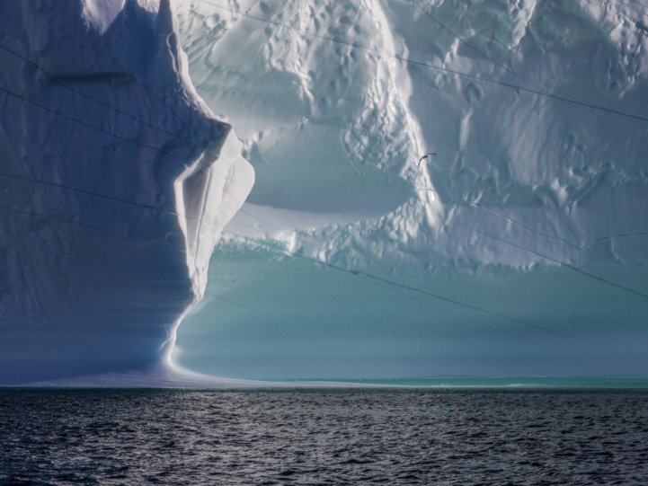Арктика в фотографиях Дайан Тафт - №3