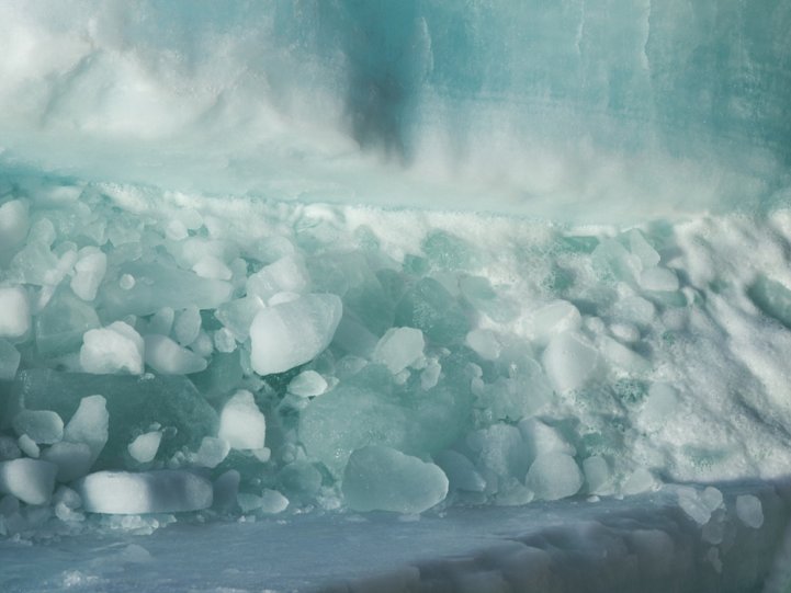 Арктика в фотографиях Дайан Тафт - №10