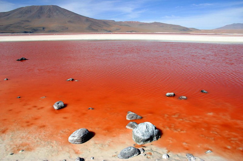 Лагуна Колорада, минеральное озеро в Боливии