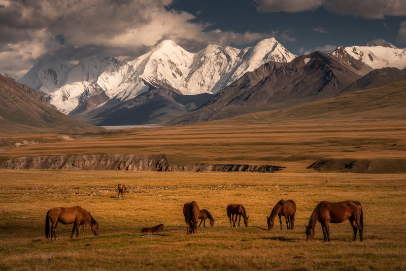 Потрясающие пейзажи Киргизии - №5