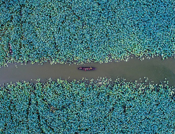 Финалист в категории «Природа». «Одинокая лодка». Автор фото: Шиху Лю.