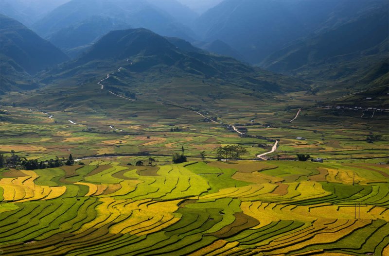 Великолепные рисовые террасы Вьетнама - №8