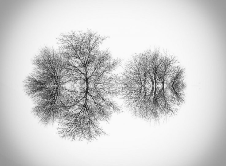 Симметрия и минимализм в фотографиях Адриенн Баласко - №1