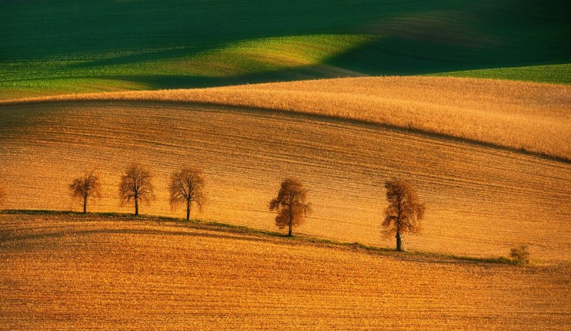 Фотограф Гжегож Левандовски - №3