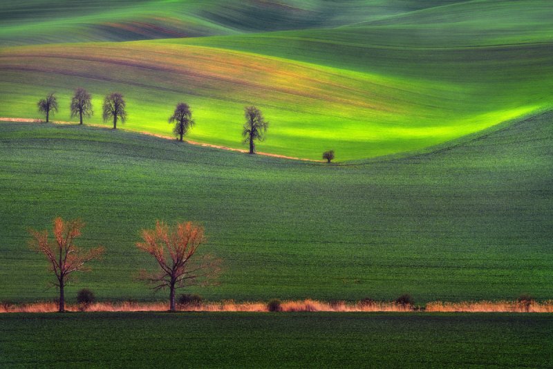 Фотограф Гжегож Левандовски - №7