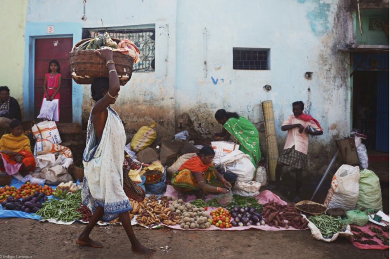 "Рынки Odisha Tribal". Индиго Лармур, Индия.