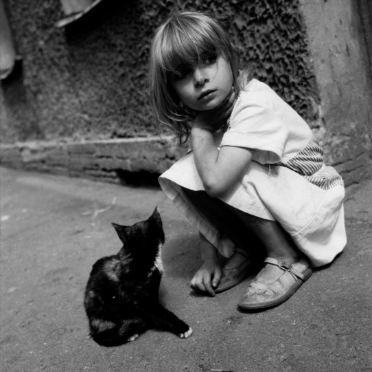 «Девочка и котёнок». Фотограф Мария Снигиревская.