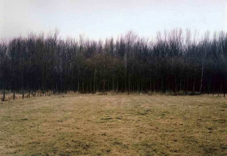 «Опушка леса в сумерках», Шифбан, 1997 год. Фотограф Симона Нивег