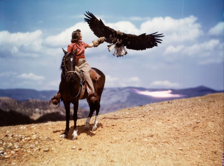 Женщина на лошади окликает орлана, 1944 год.