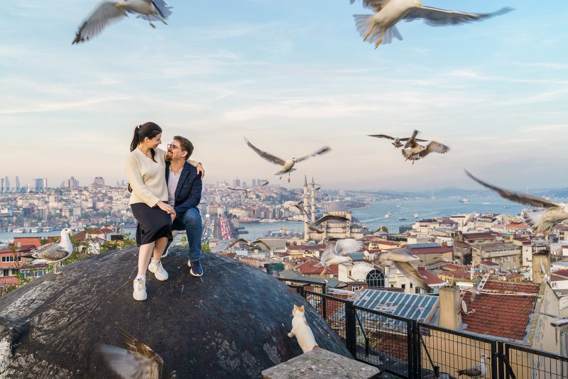Крыши с чайками в Стамбуле