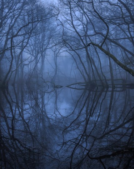 Anders Angelhag (Швеция) «Сказочное болото. Национальный парк Стеншувуд, Швеция». 3-е место в специальной номинации «Водные миры».