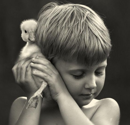 Очаровательные фото кадры - дети и животные - №7