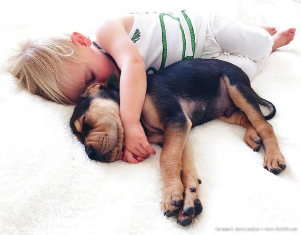 Милые дети и собачки - новый тренд Instagram - №3