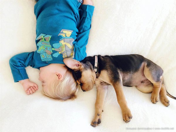 Милые дети и собачки - новый тренд Instagram - №7