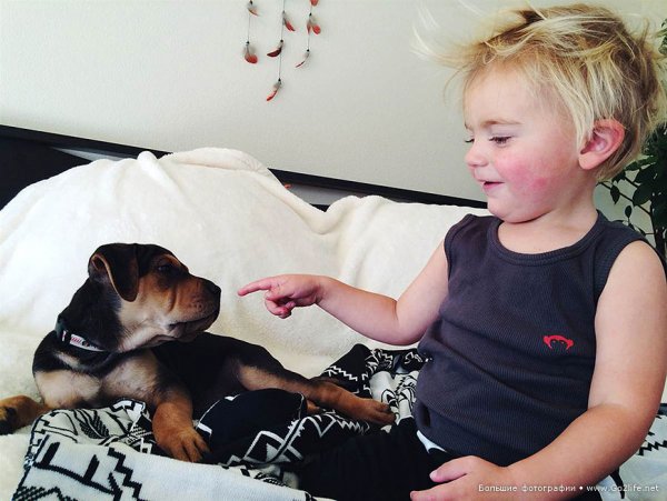 Милые дети и собачки - новый тренд Instagram - №11