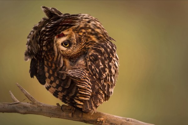 смотреть National Geographic