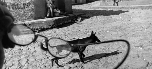 LarryTowell