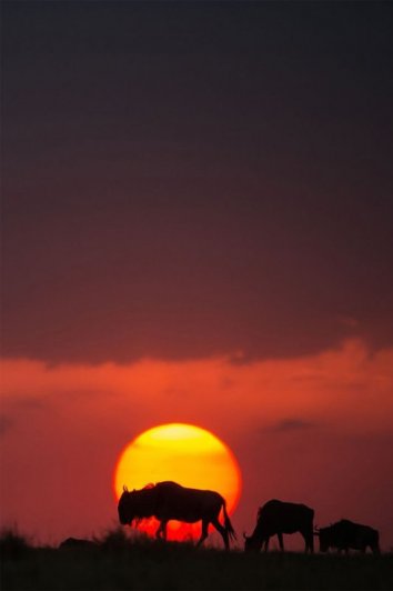 фото закат солнца