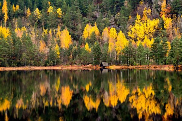 красивые пейзажи природы