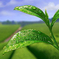 Евгений Береговой