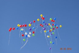 Илья Воронков