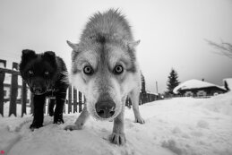 Наталия Алексеевна
