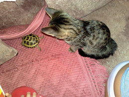 Олег Данкир-Кирмасов