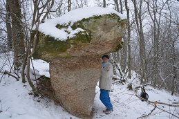 Береславская Елена 