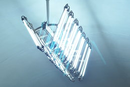 Мария Грицько 