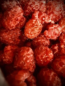 Иннокентий Авдонин