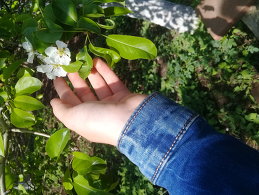 Екатерина Череватенко