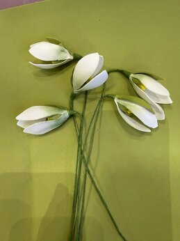 Юлия Чертищева /