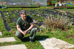 веселов михаил 