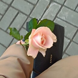 Анастасия Попова