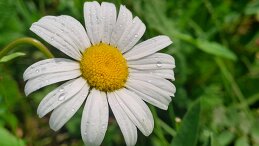 Татьяна Ерохина