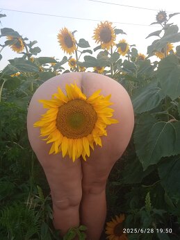 Интрига Секретная